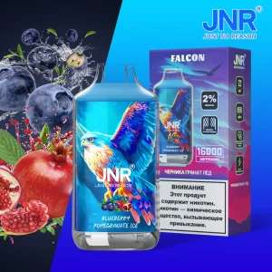 JNR Falcon 16000 - Blueberry Pomegranate Ice