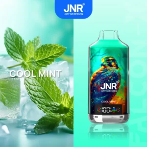 JNR Falcon X 18000 - Cool Mint