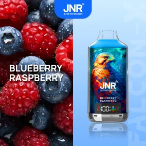 JNR Falcon X 18000 - Blueberry Raspberry