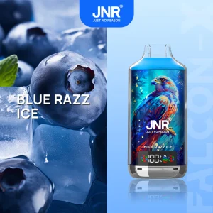 JNR Falcon X 18000 - Blue Razz Ice